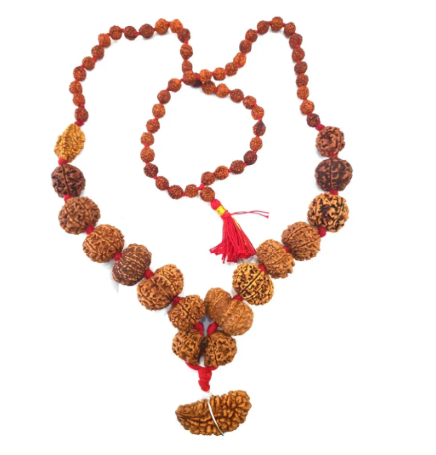 1-14 Mukhi Rudraksha mala - Shivashakti